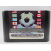 Champions World Class Soccer