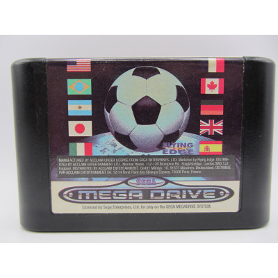 Champions World Class Soccer