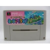 Yoshi's Island
