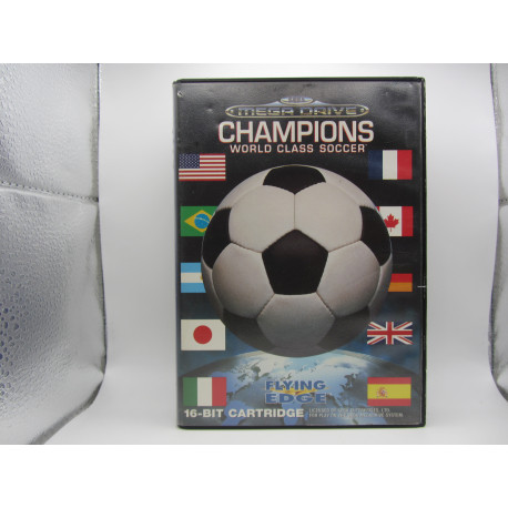 Champions World Class Soccer