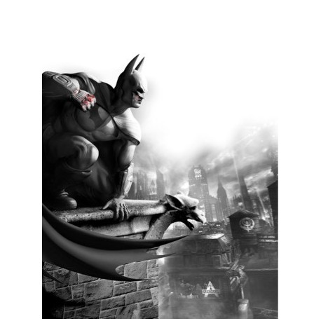 Batman Arkham / H137