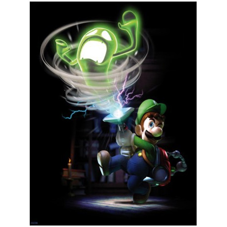 Luigi's Mansion / H228