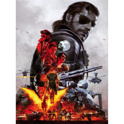 Metal Gear / H247