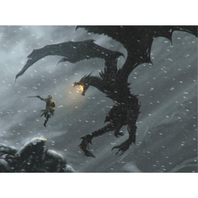 Skyrim / H289