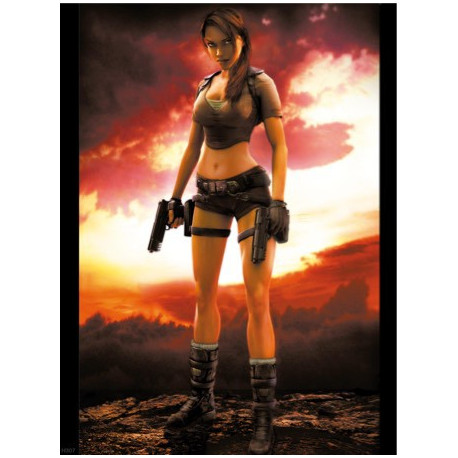 Tomb Raider / H307