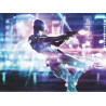 Ghost in the Shell / H366