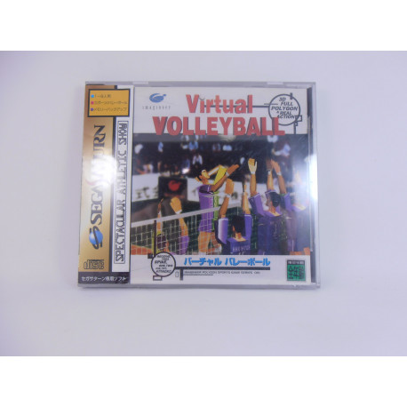 Virtual Volleyball