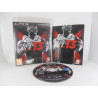 WWE 13