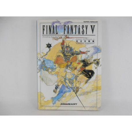 Guia Final Fantasy V Perfect Conquest Japonesa