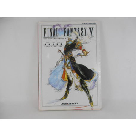 Guia Final Fantasy V Basic Knowledge Japonesa