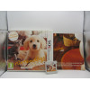 Nintendogs + Cats: Golden Retriever